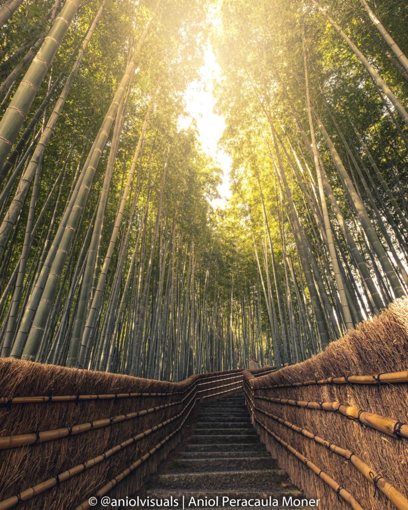 Japan unknown photography spots by aniolvisuals. Secret bamboo forest in Kyoto, Arashiyama. 