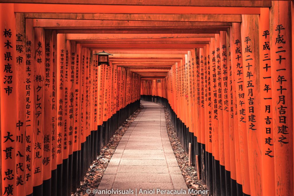 Kyoto photography spot guide Fushimi Inari Taisha best time to visit