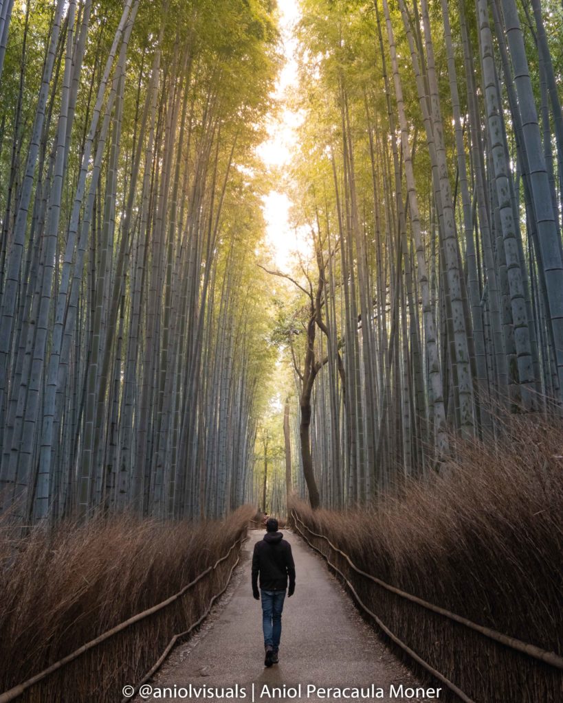 Kyoto photography spots. Arashyiama bamboo forest by aniolvisuals