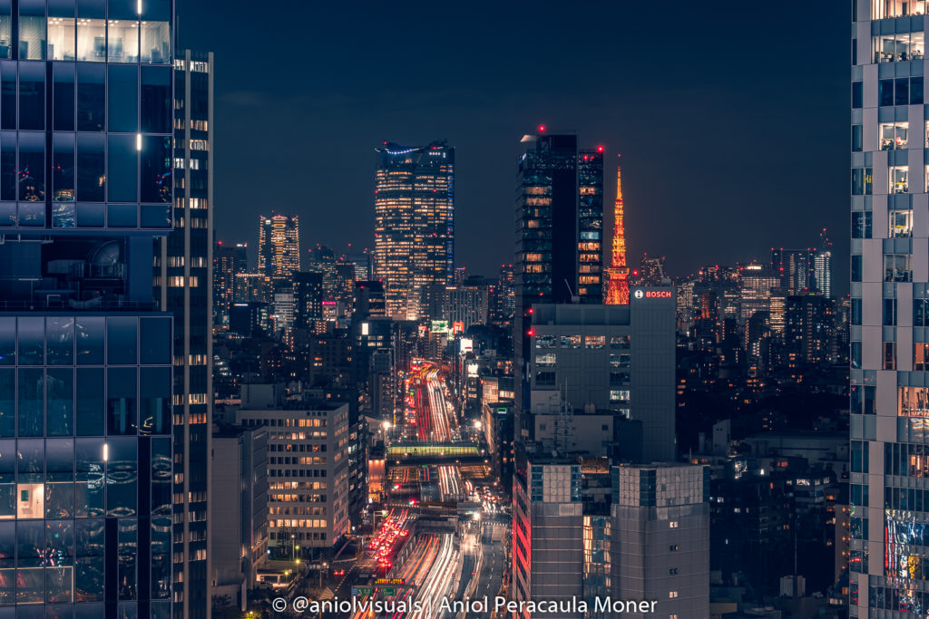 Tokyo skyline at night from Shibu Niwa by aniolvisuals