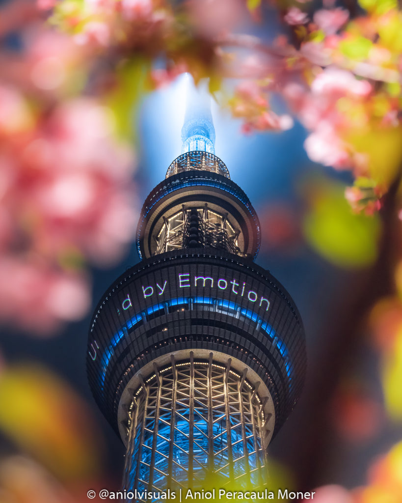 Cherry blossoms framing Tokyo Skytree by aniolvisuals