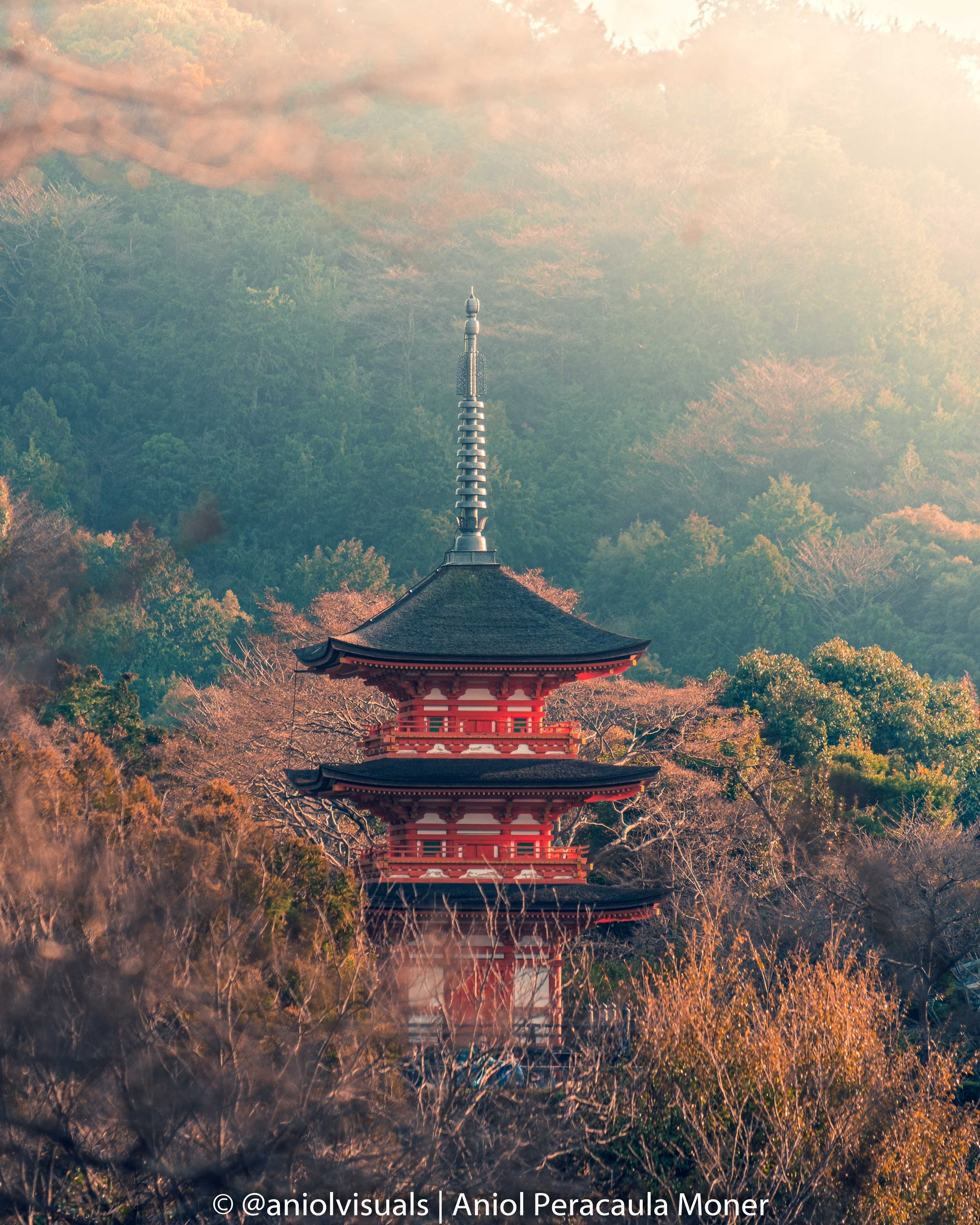 japan hidden photography spots Tisanji temple by aniolvisuals