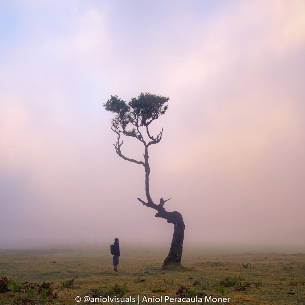 fog sunrise madeira