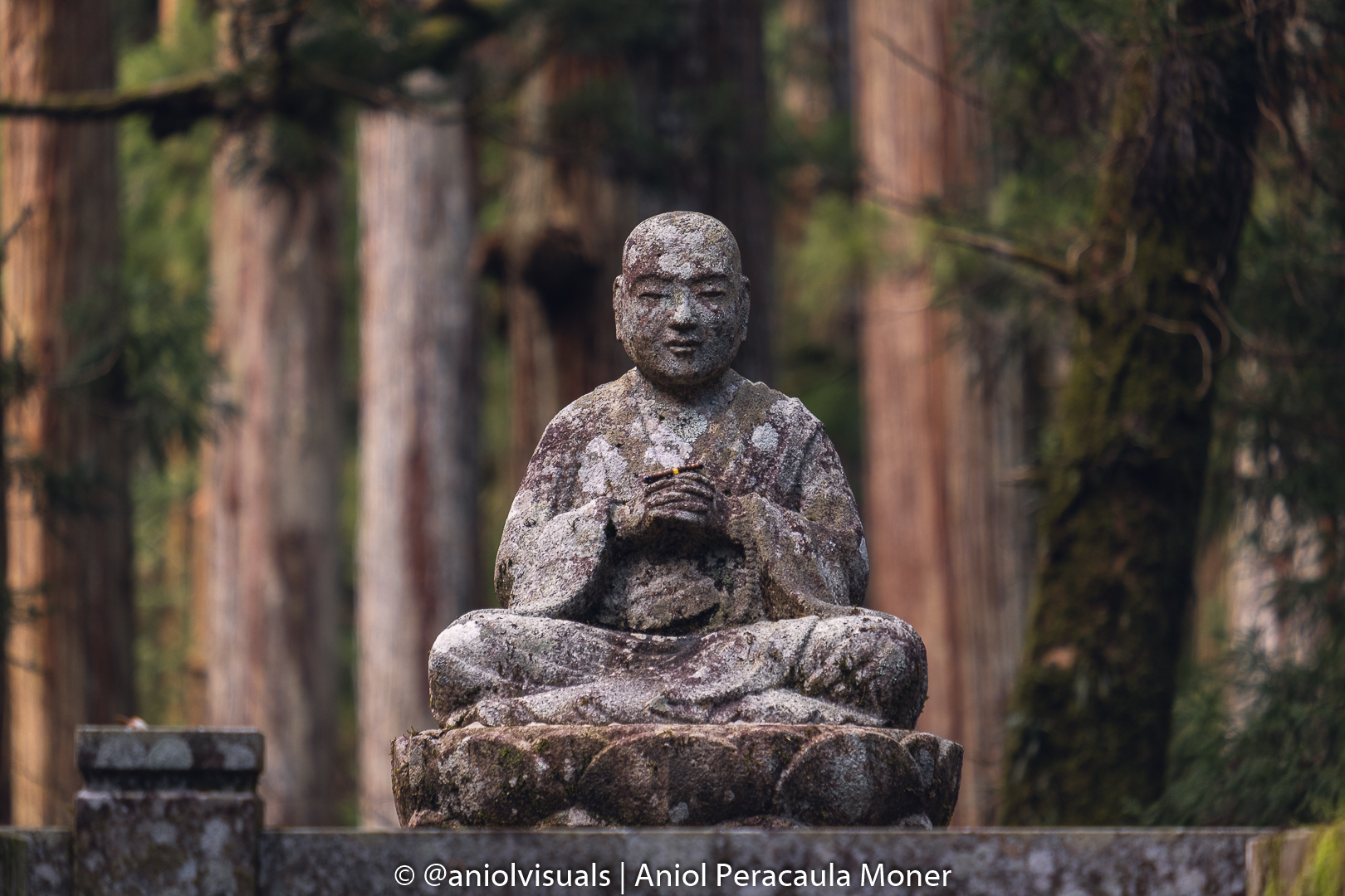 Koyasan Okunoin cemetery photography guide by aniolvisuals