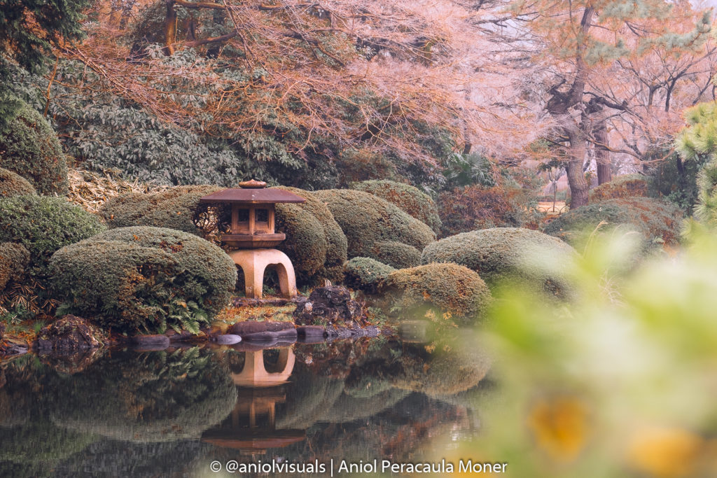 tokyo gyoen national garden by aniolvisuals