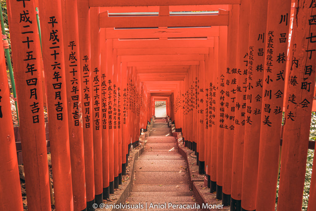 secret torii passage tokyo photography
