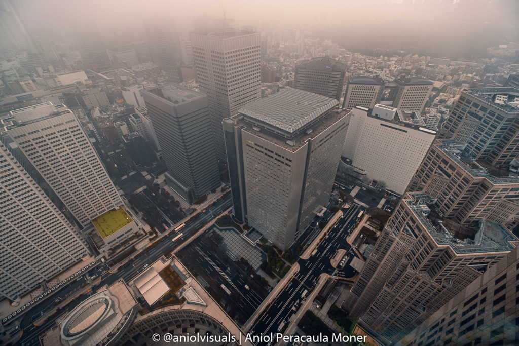 Views Tokyo metropolitan building