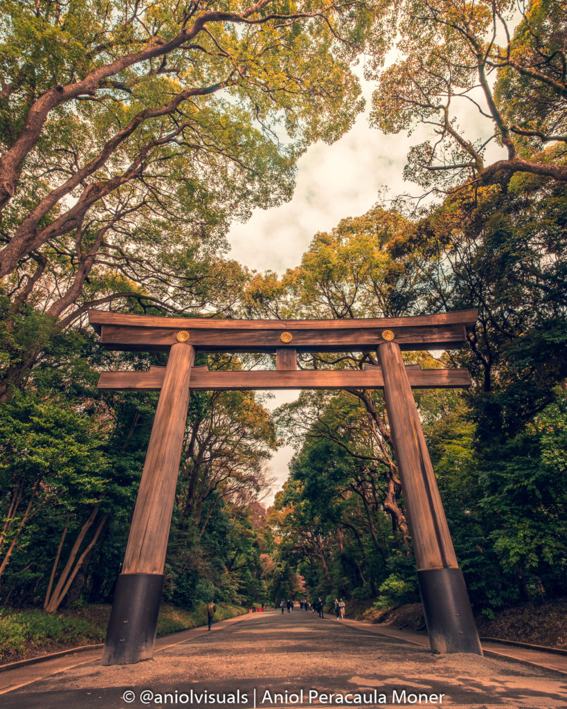 Meji jingu shrine torii gate
