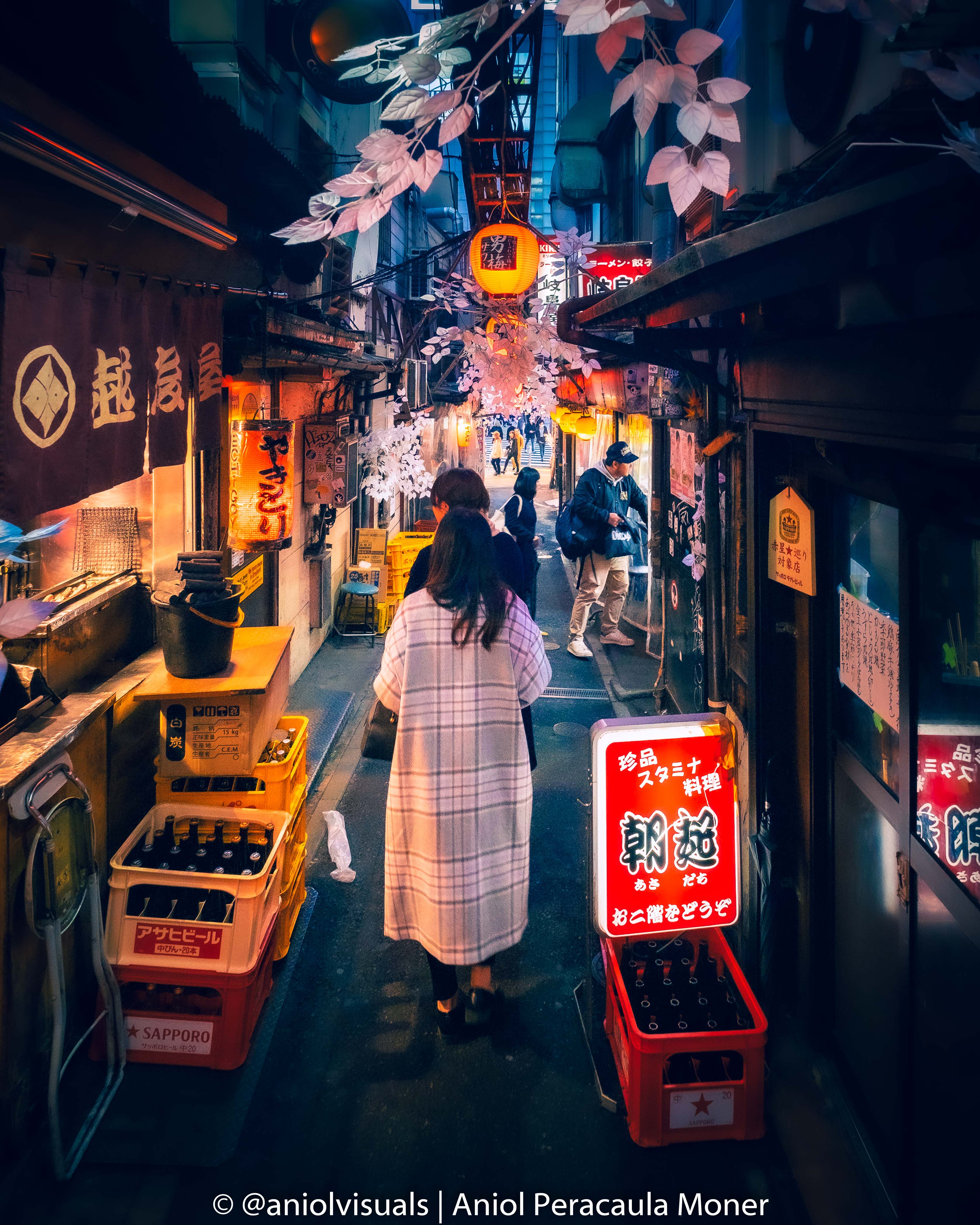 Tokyo photography spots piss alley