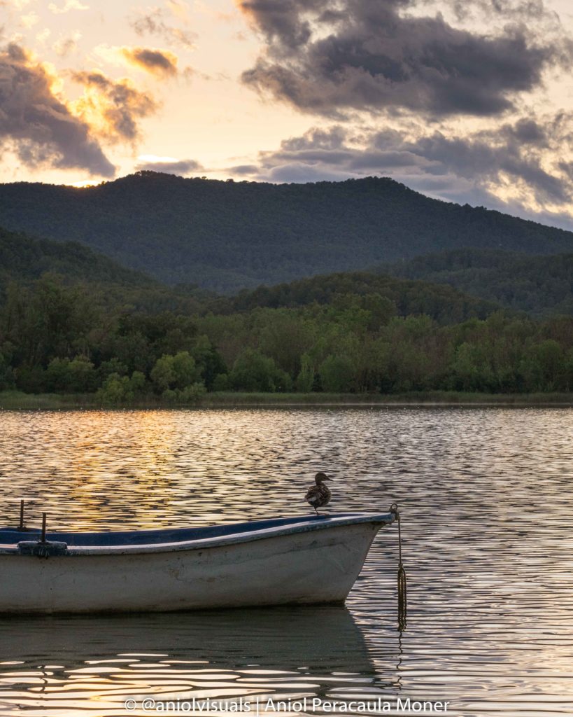 Rowing boats banyoles