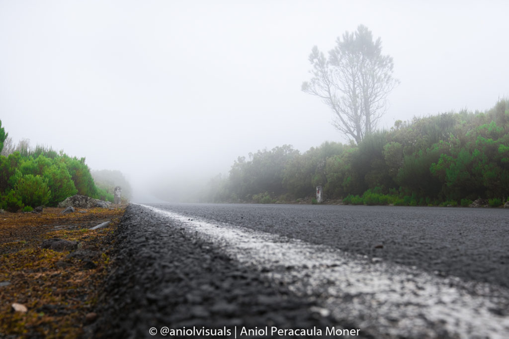 madeira fog drive