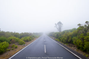 madeira driving tips