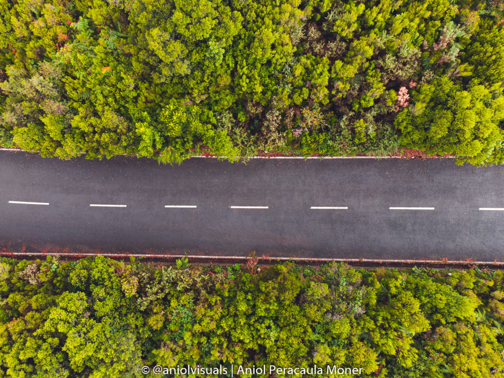 madeira drone roads