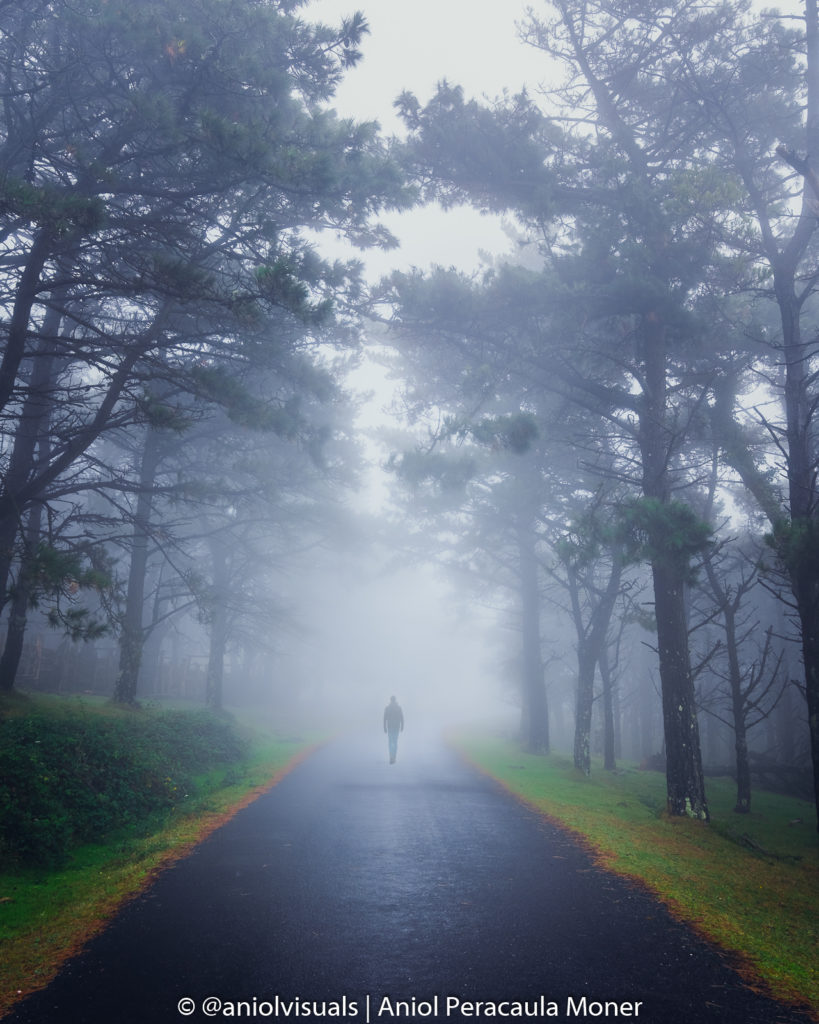 Vixia de herbeira fog