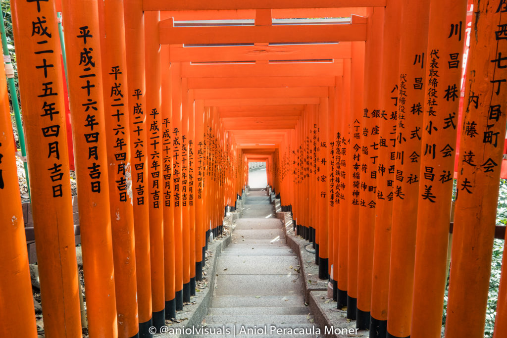 Hie shrine tokyo red torii gates japan best photography spots