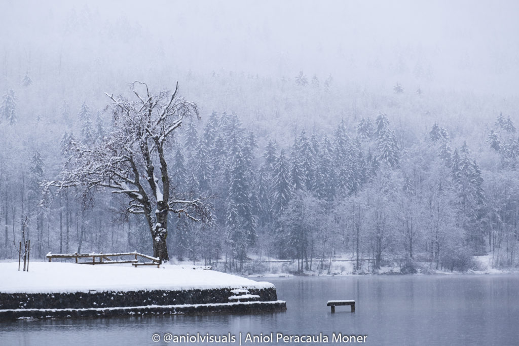 Lake Bohinj winter photography spots