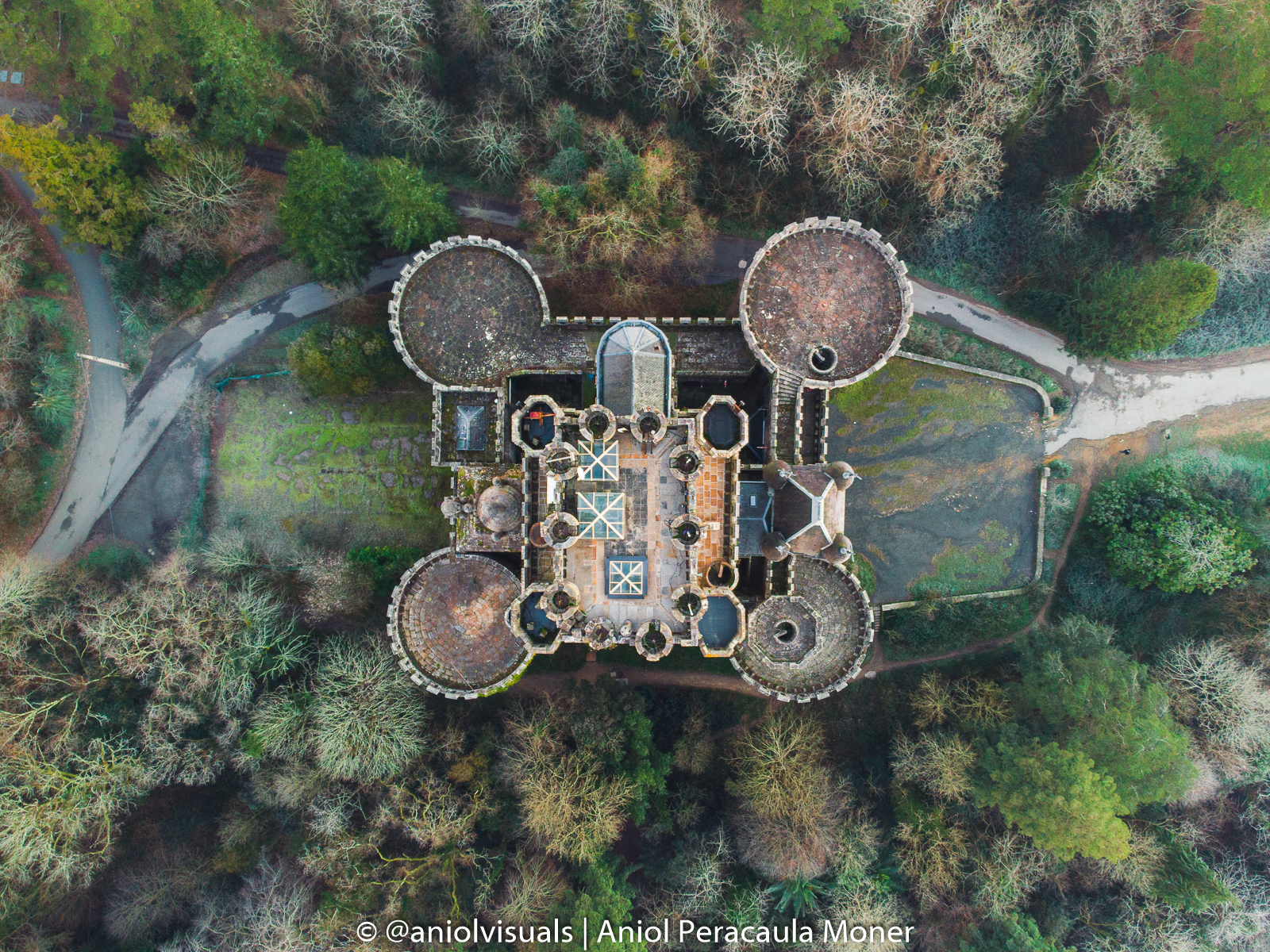 dji mini 2 vertical photo