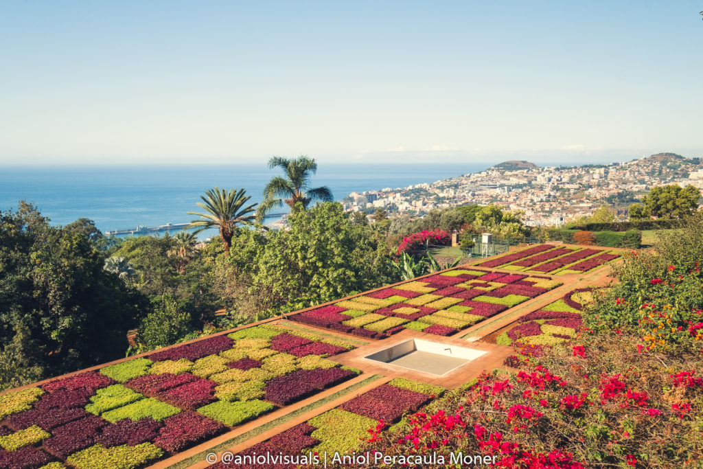 Madeira viewpoint botanical garden