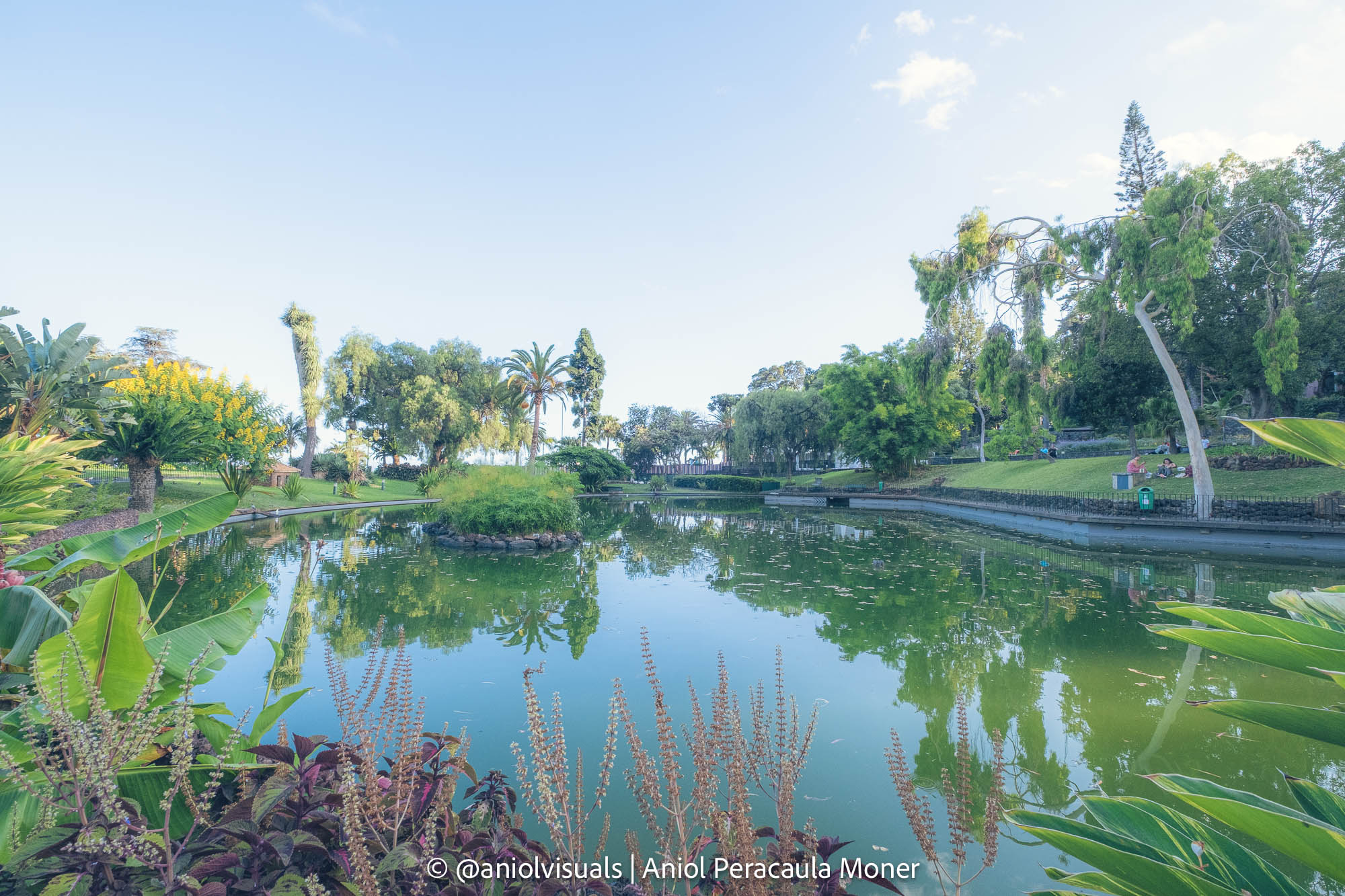 santa catarina park funchal one day