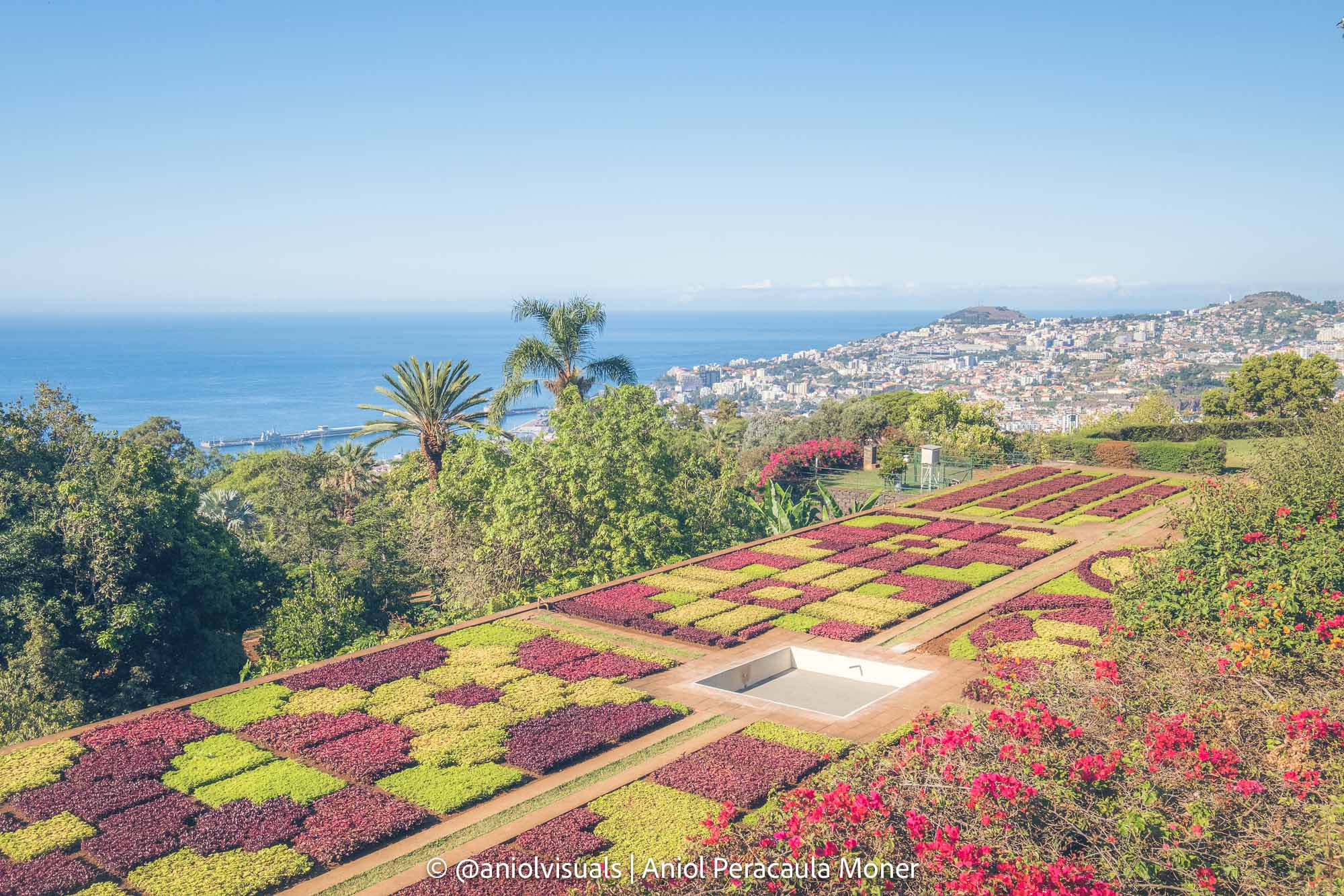 funchal photography spots madeira garden