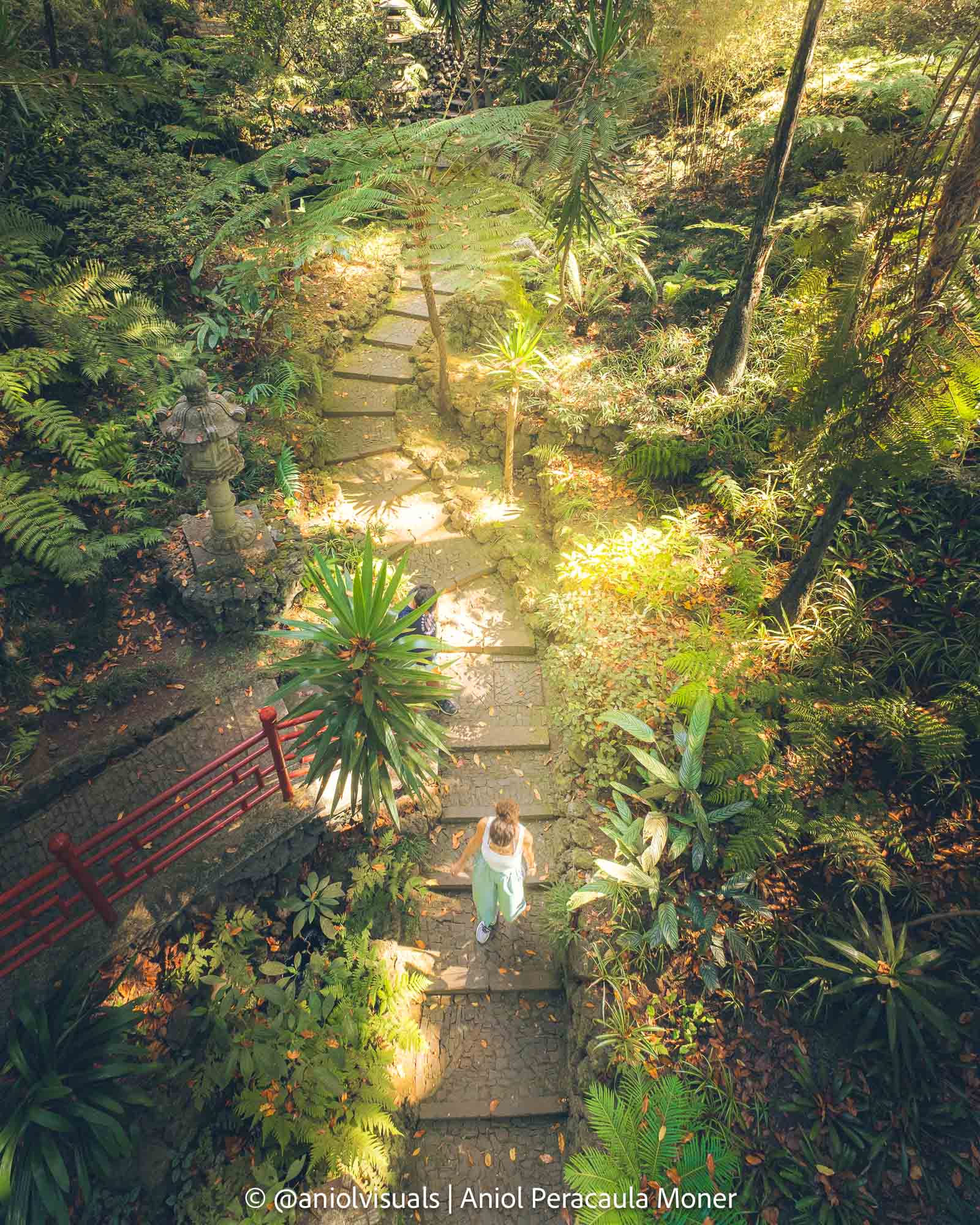 funchal photography spots