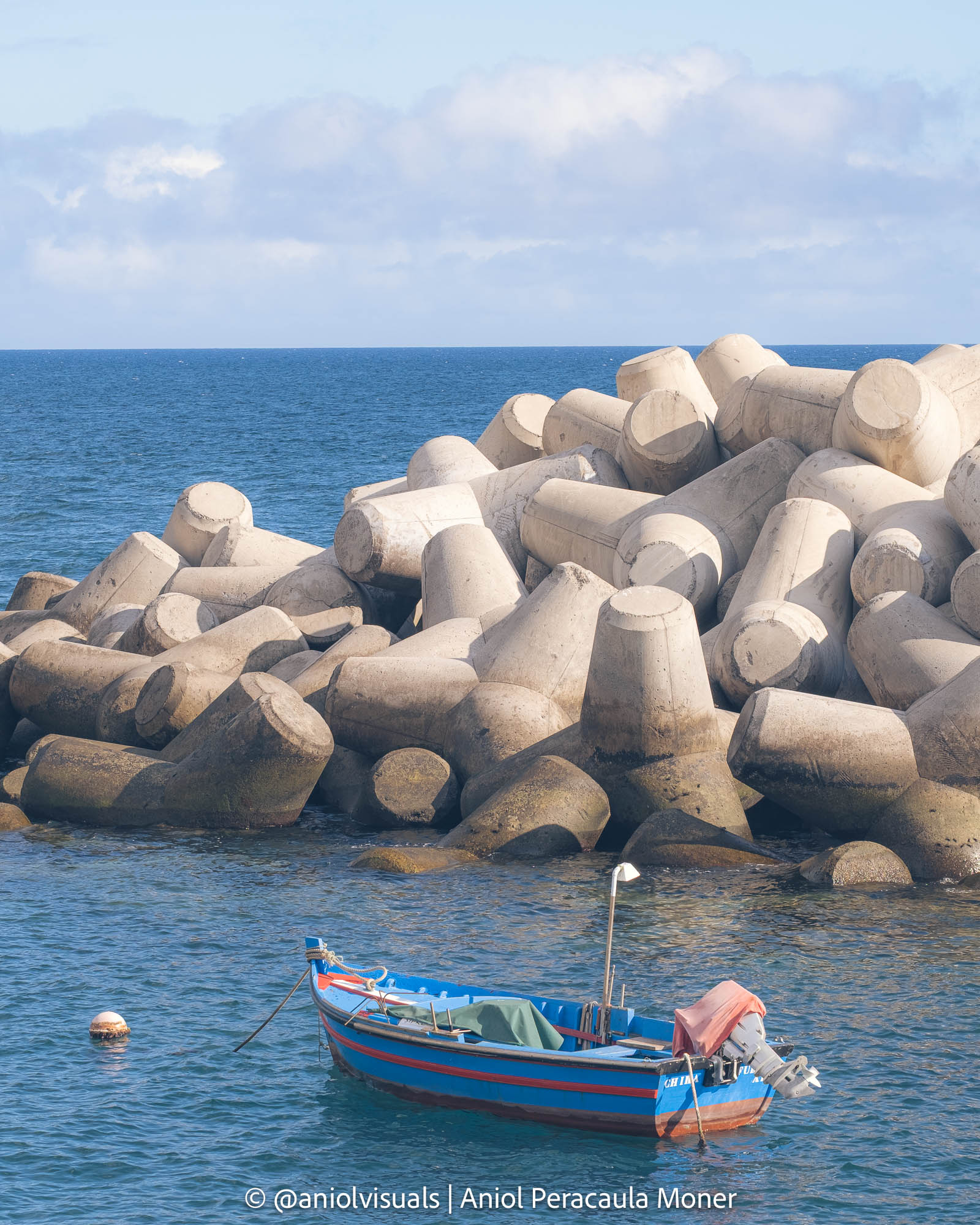 funchal one day harbour