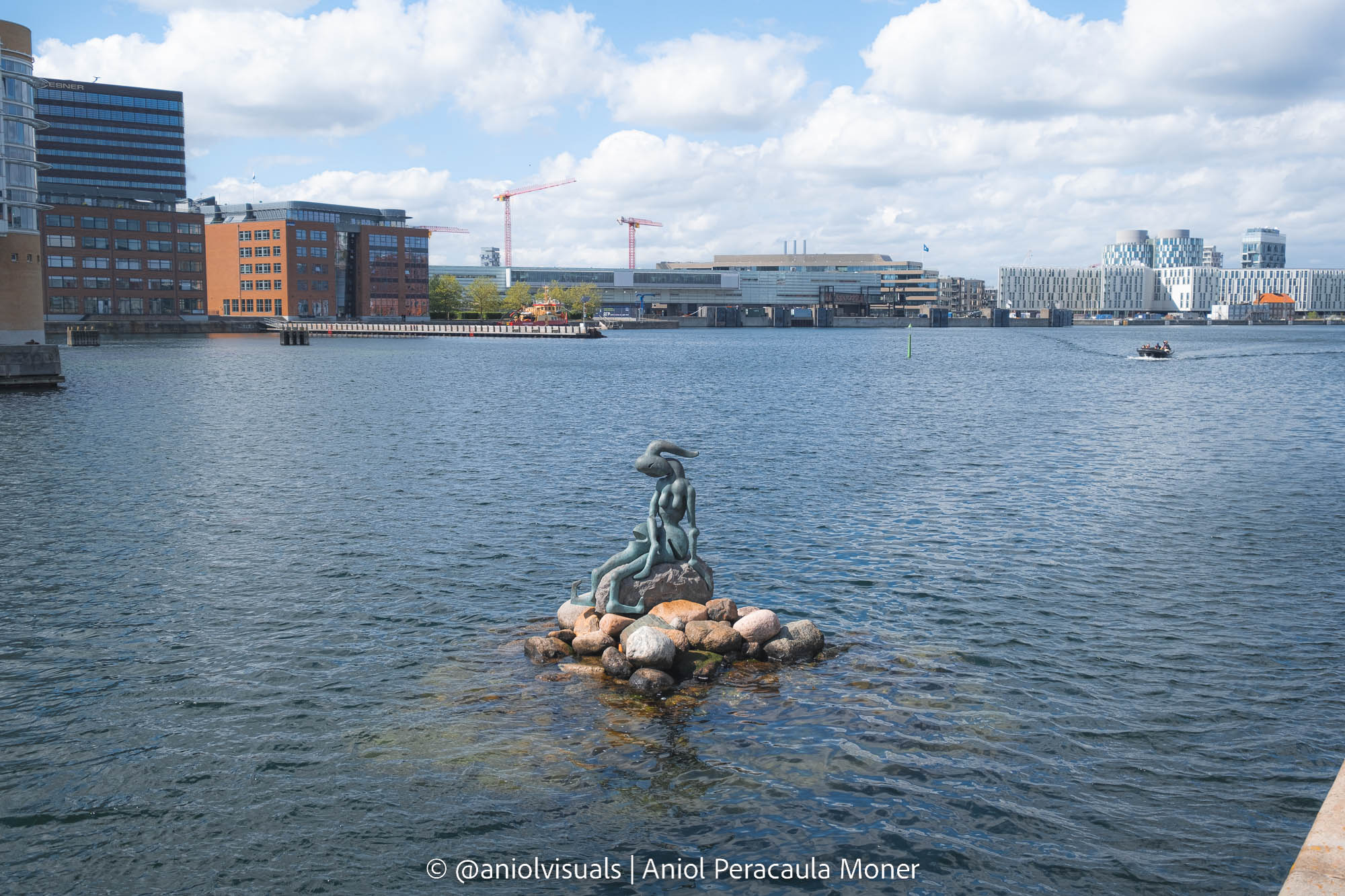 The genetically modified mermaid in Copenhagen