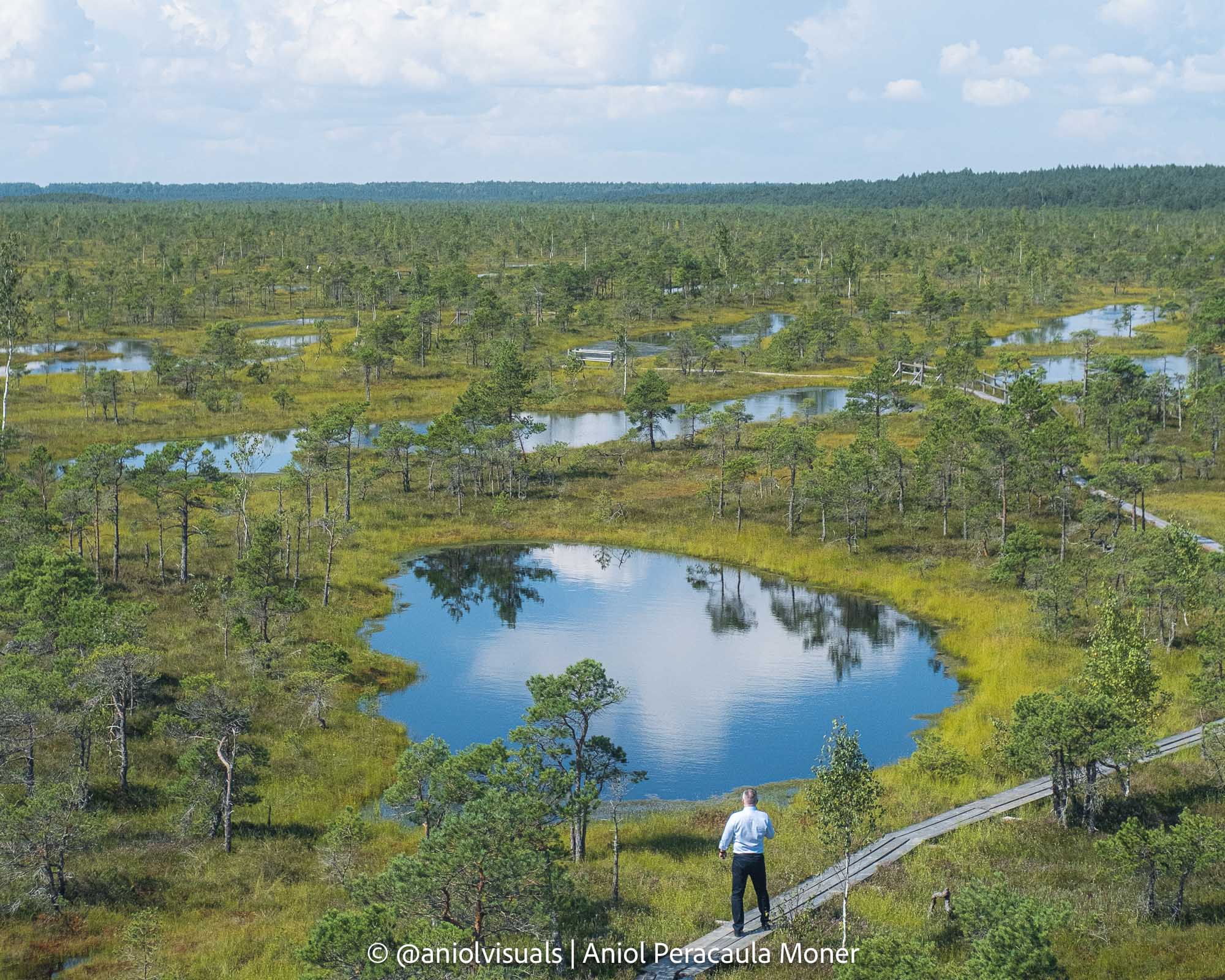 riga photography guide kemeri bog riga photography guide kemeri bog
