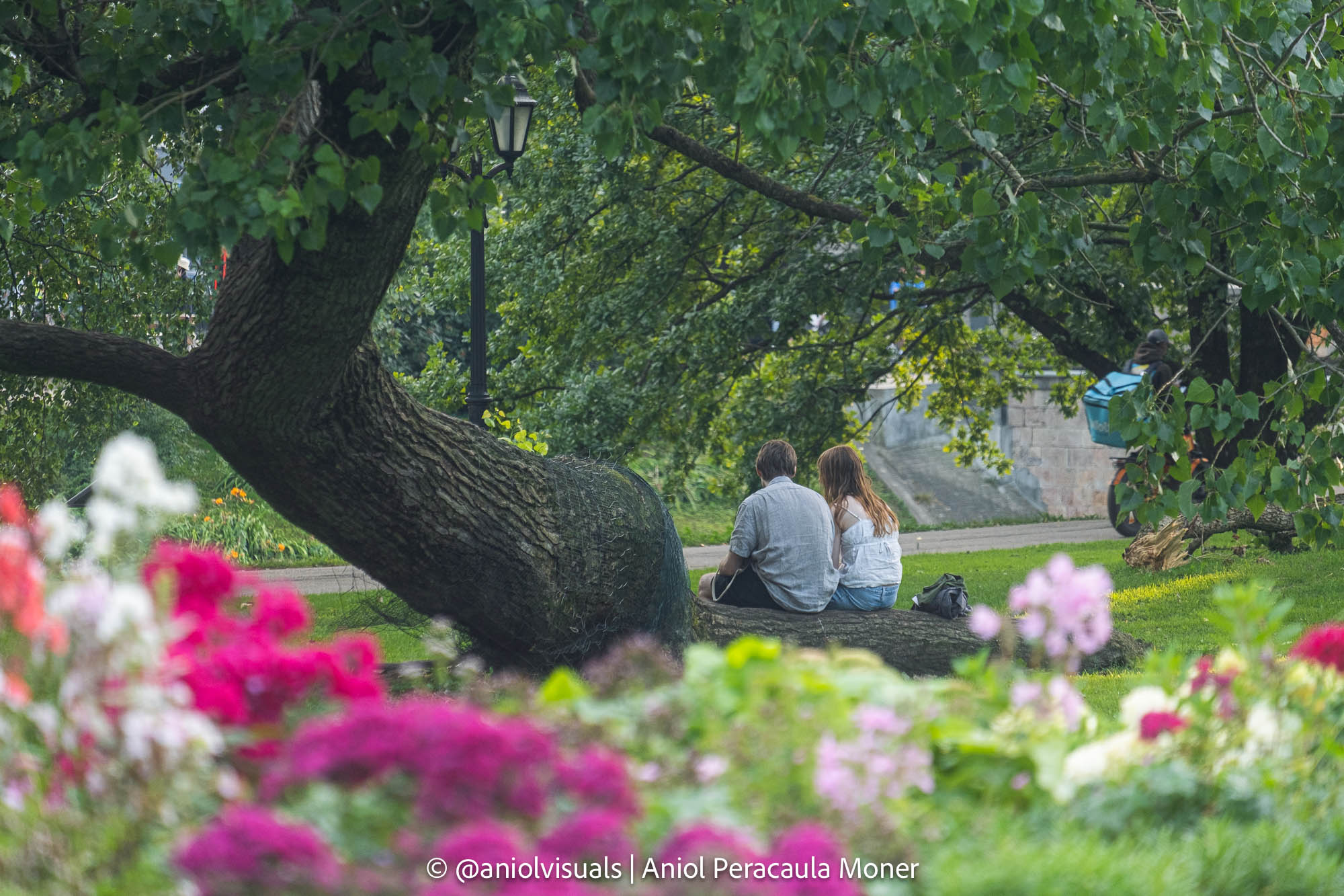 riga photography guide park