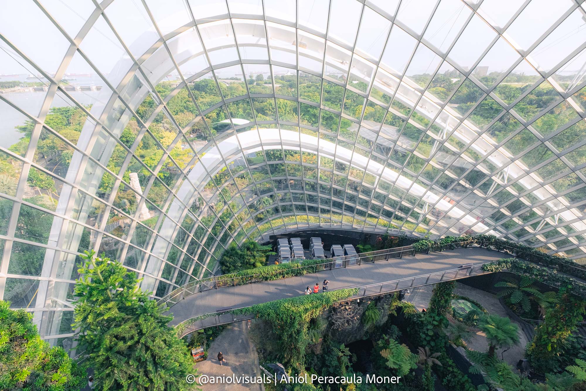 singapore photography guide cloud forest