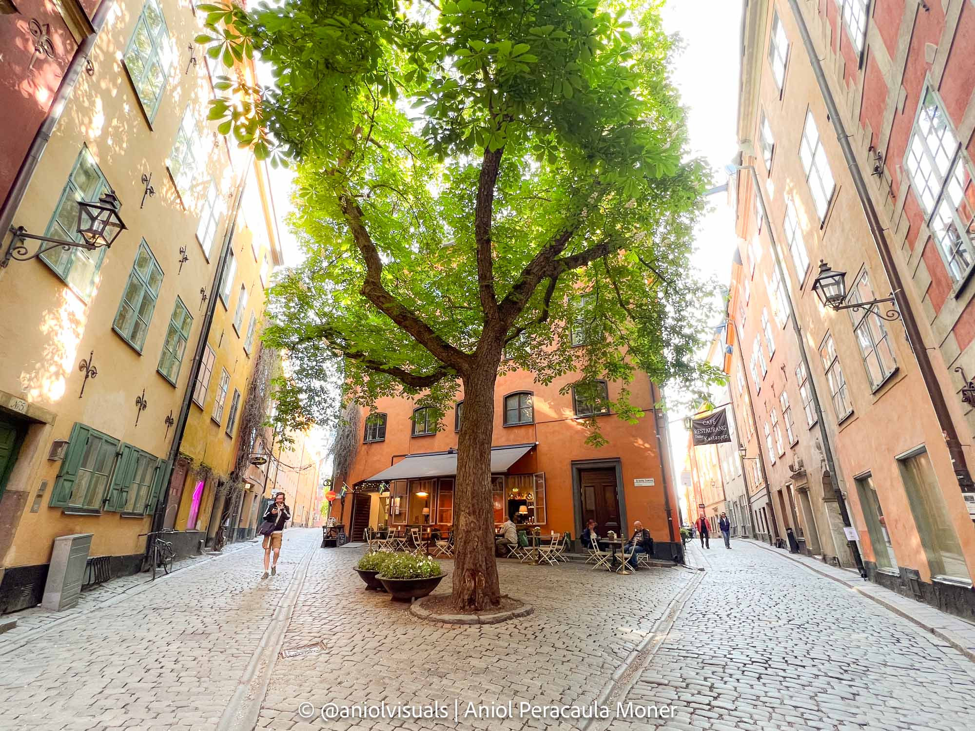 stockholm photography guide Under Kastanjen stockholm photography guide Under Kastanjen