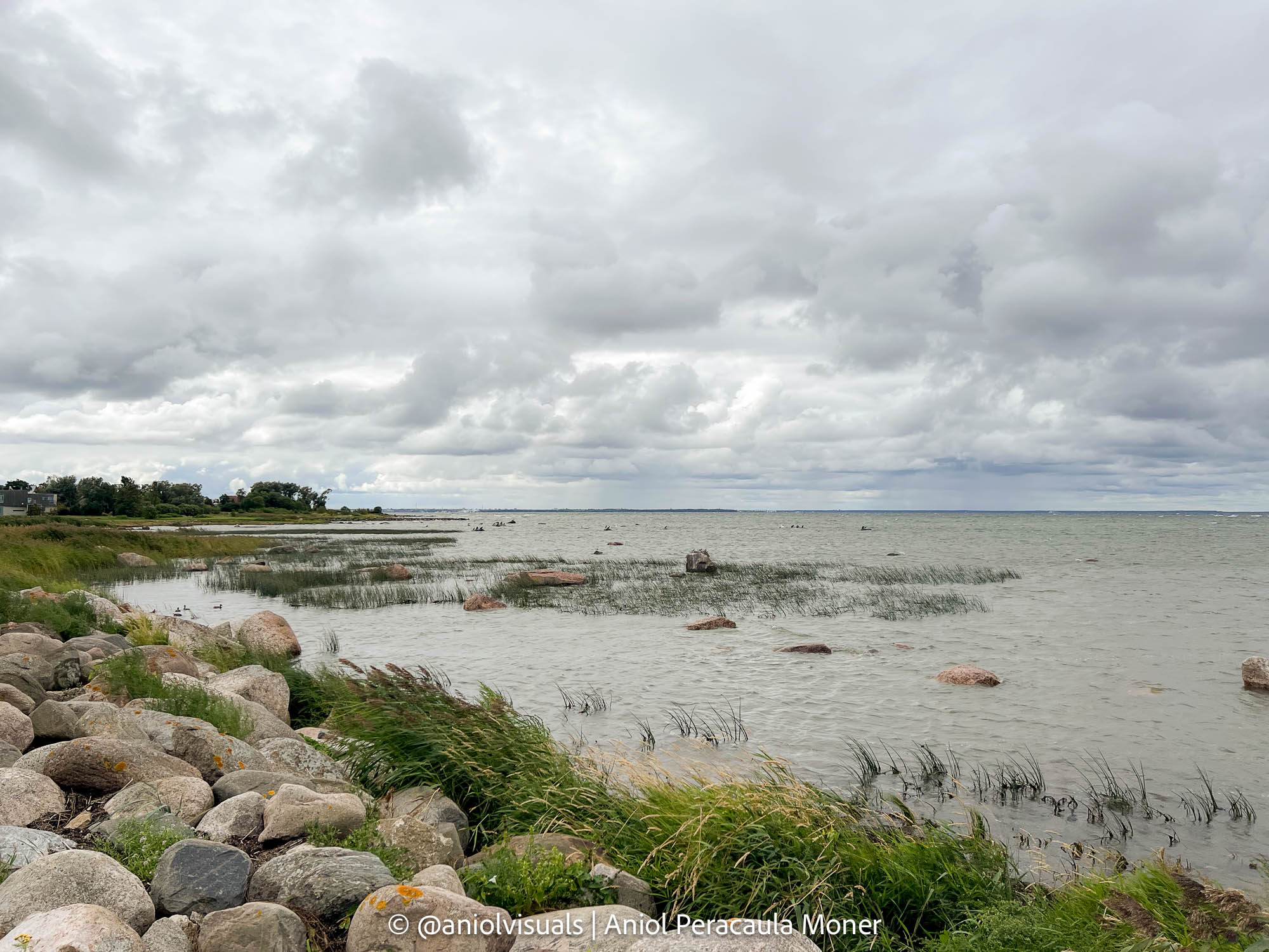 tallinn photography guide bike trip
