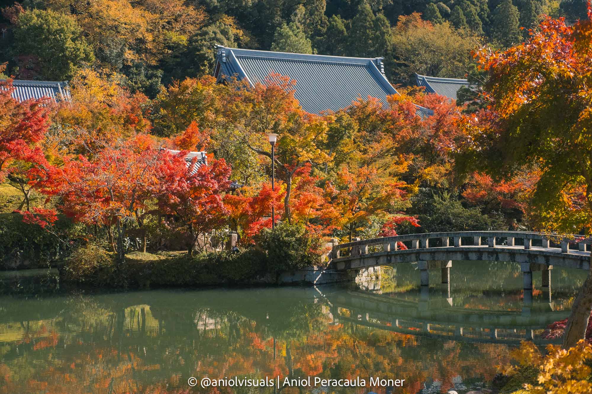 Eikando temple kyoto autumn