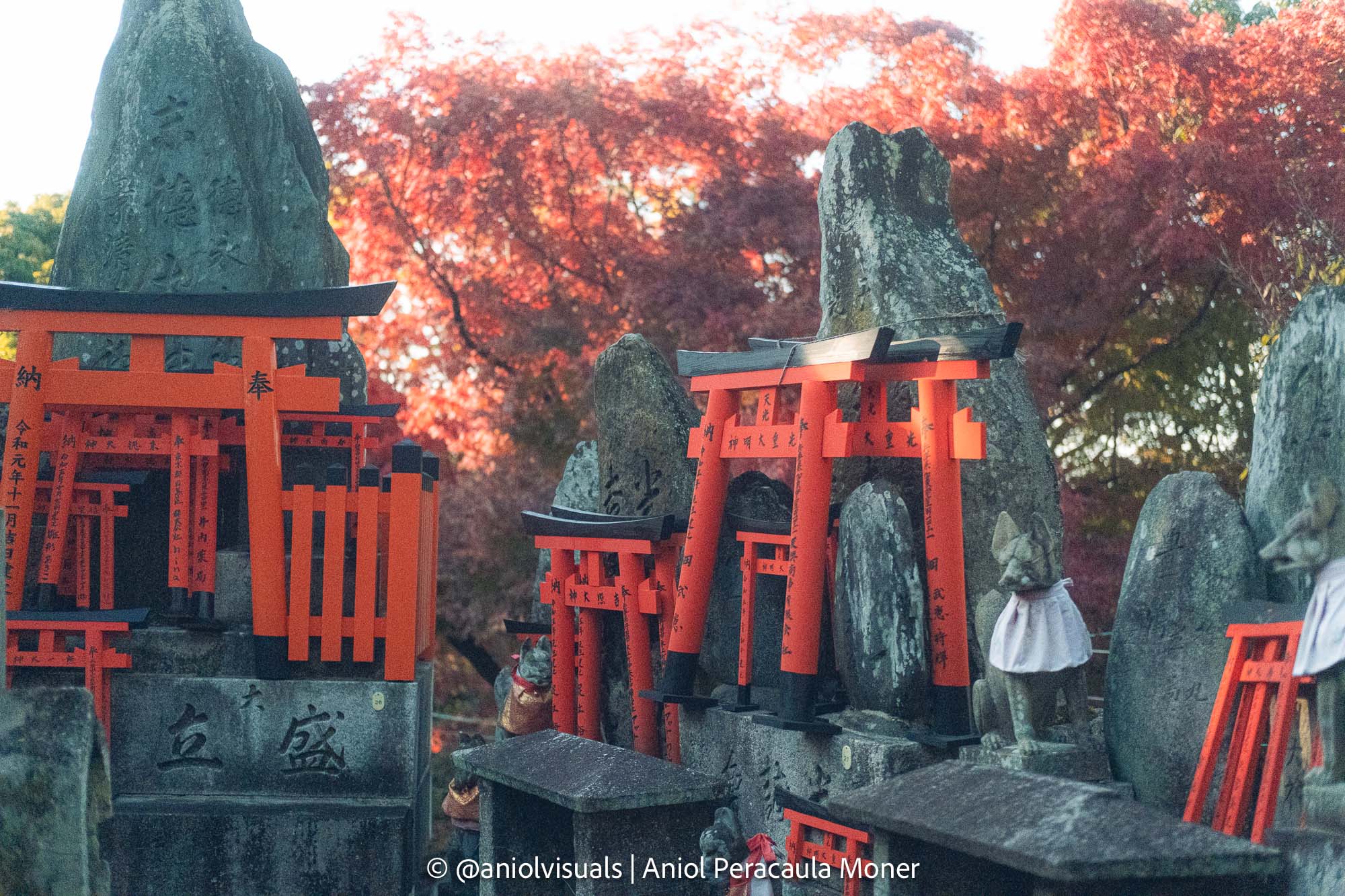 Fushimi inari autumn