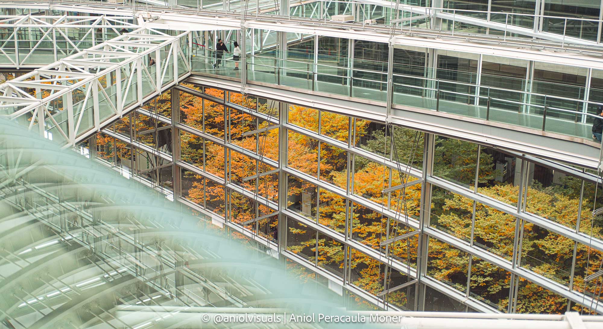 Japan autumn photography guide Tokyo International Forum