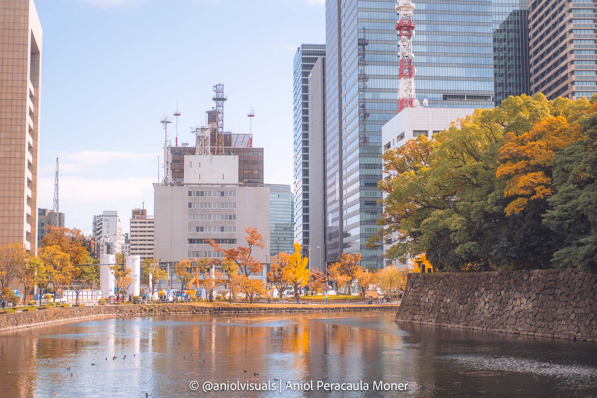 Tokyo imperial palace autumn