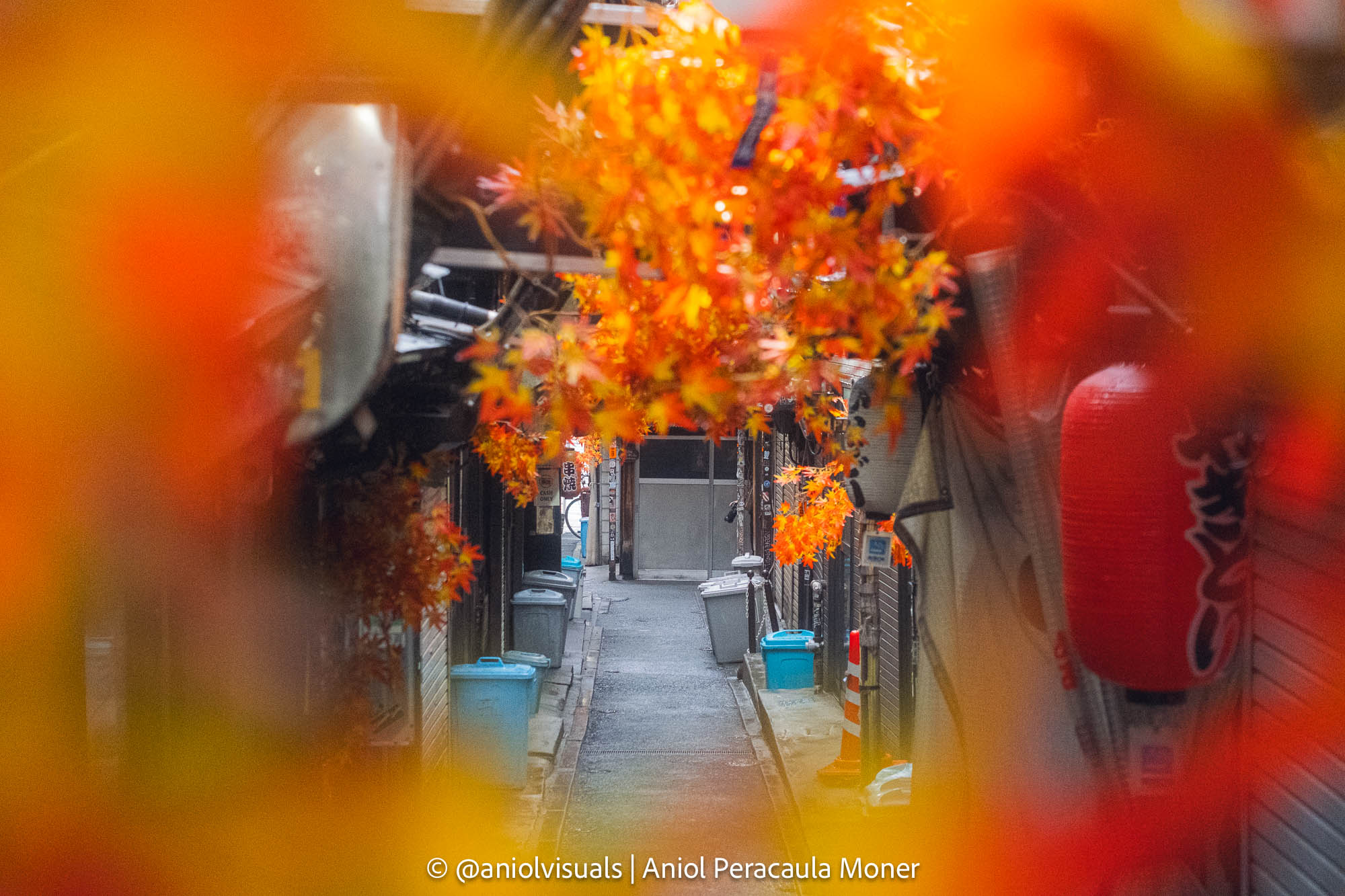 Japan autumn photography guide