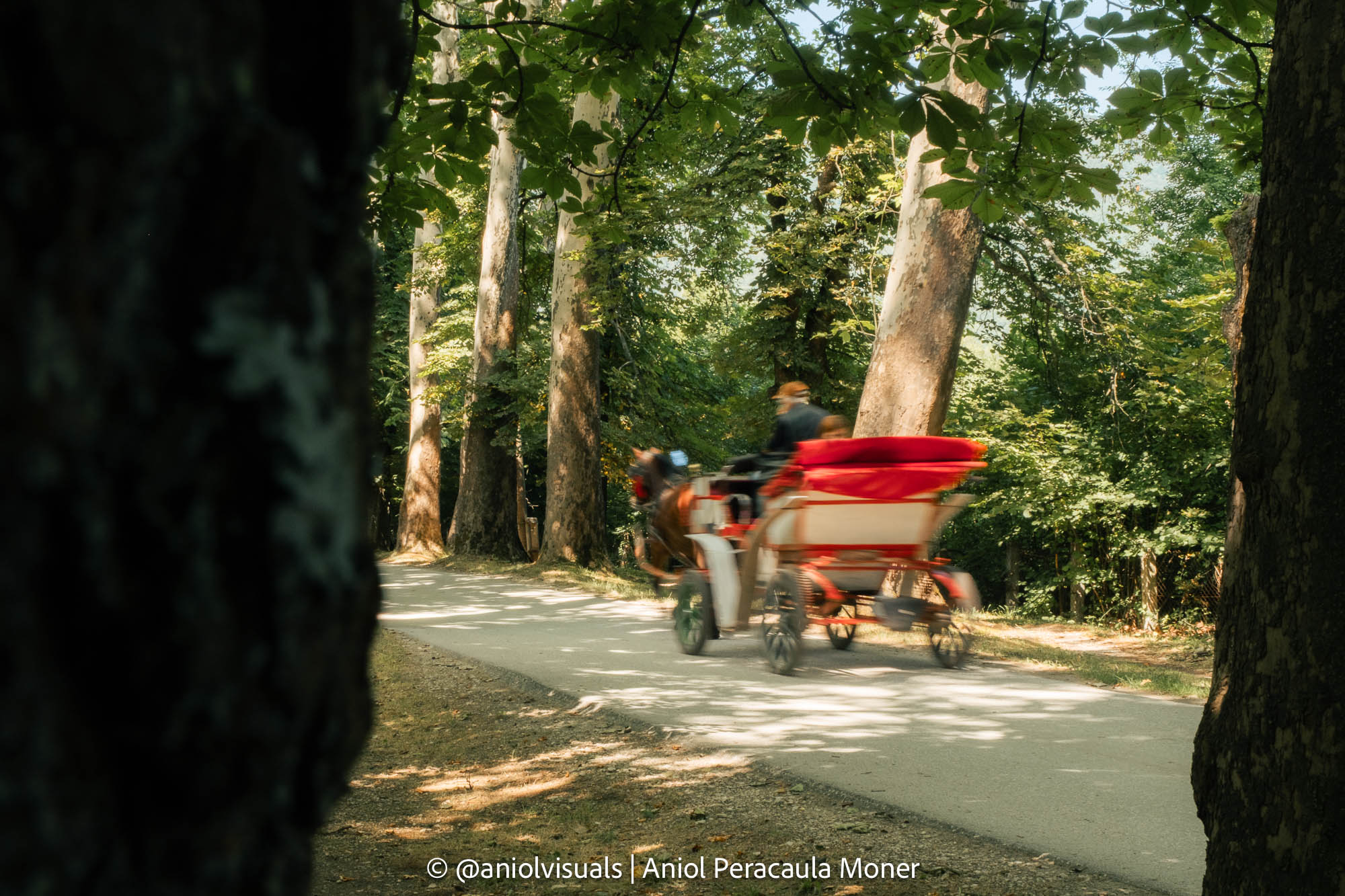 Velika Aleja sarajevo photography