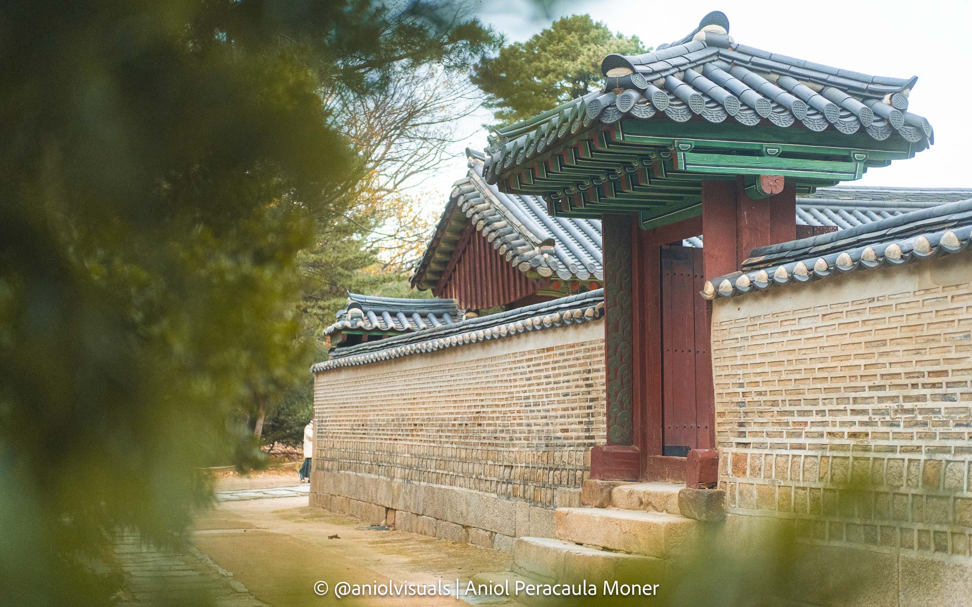 Jongmyo seoul autumn