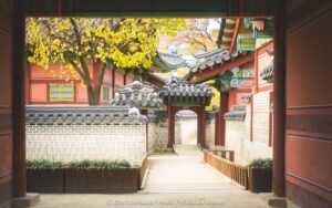 Gyeongbokgung palace seoul photo