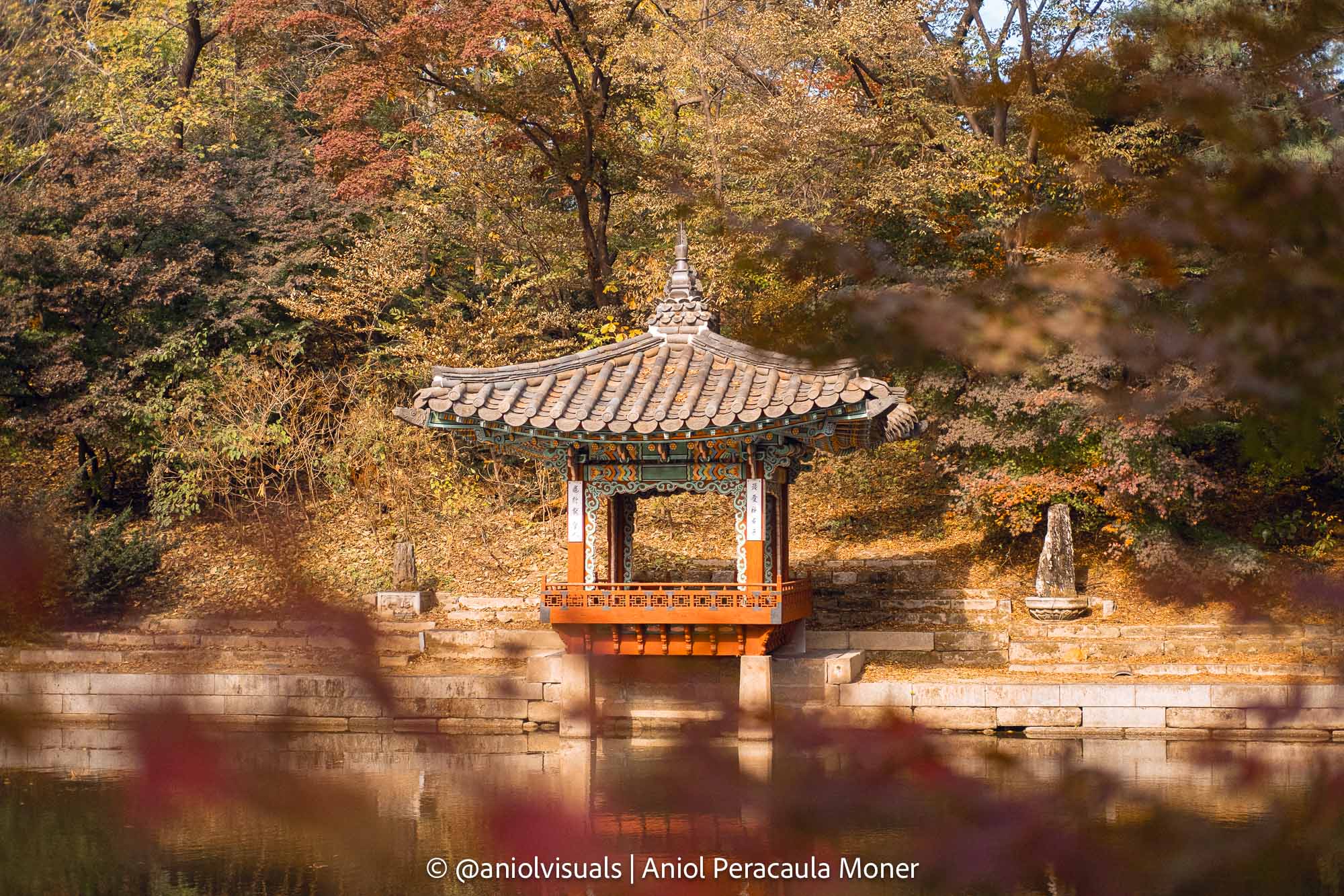 Changdeokgung Secret Garden autumn korea