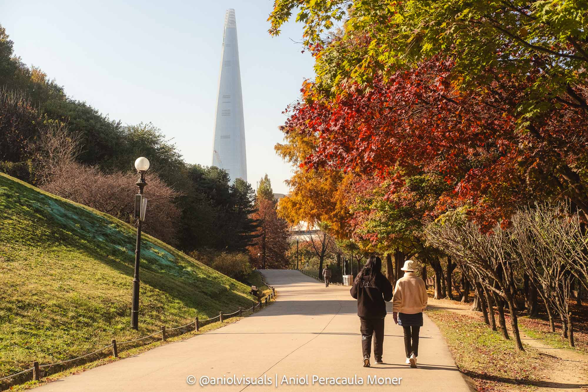 Seoul olympic park photography spots