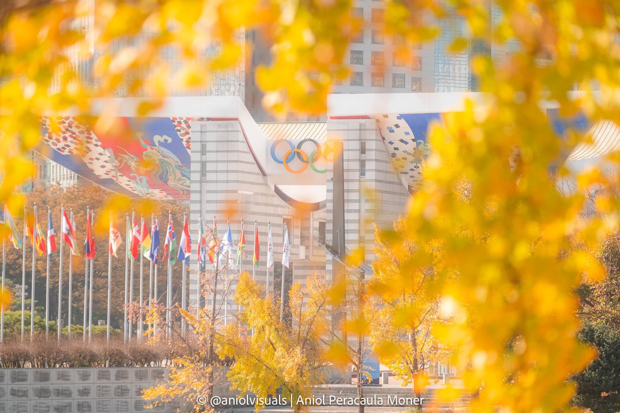 Seoul olympic park photo